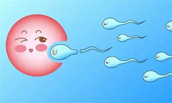 1694241828538988.png 84.png