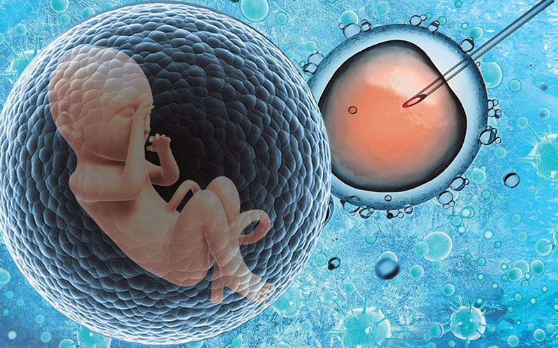 1694415023921881.jpg 0F0E5A9D1.jpg