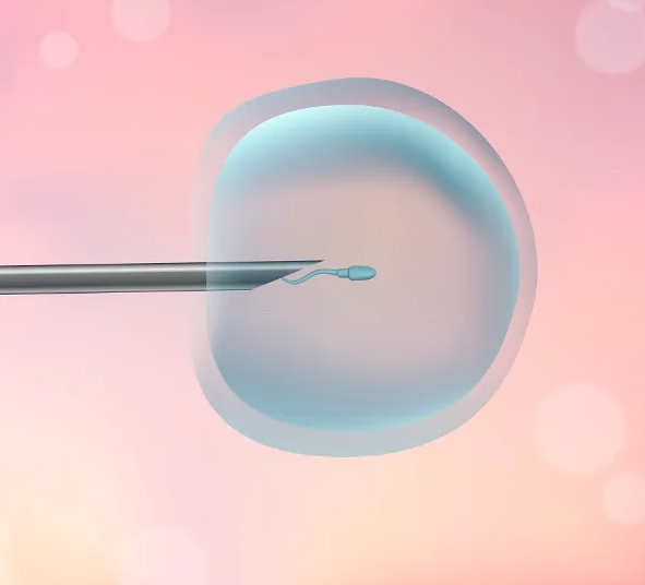 1694506267448038.png 3745E69F3.png