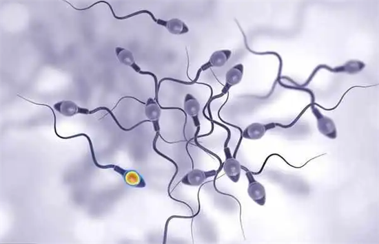 1695276817408530.png 97.png