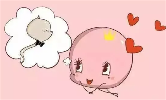 1695369455139260.png 66.png