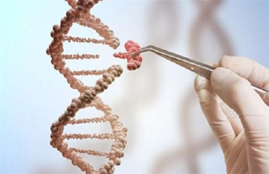 1695629695222395.png 57.png