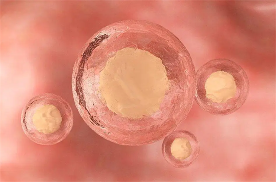 1696660324814397.png 12.png