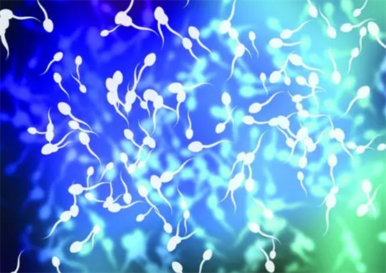 1696924037925481.png 104.png