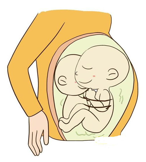 1697179491678468.jpg 孕57.jpg