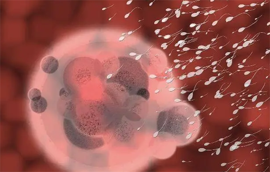 1697696158660895.png 22.png