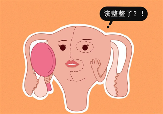 1698049570683671.png 76.png