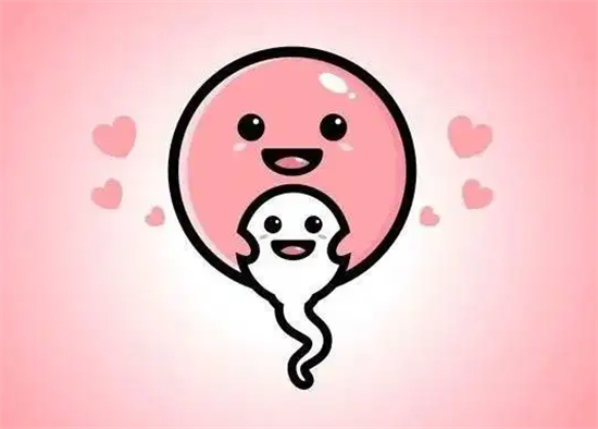 1698217254672050.png 29.png