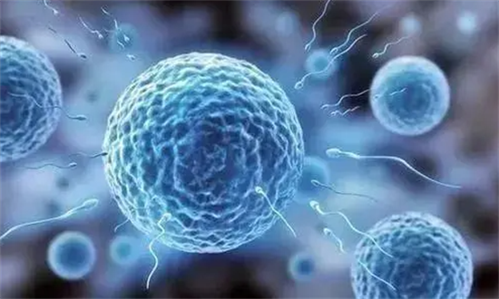 1699512215968194.png 105.png