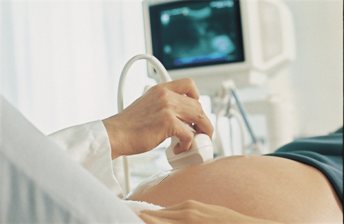 1699512618705552.jpg 孕119.jpg