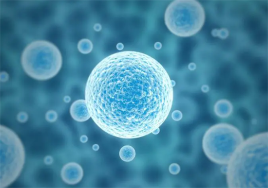 1699859139465532.png 16.png