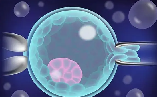 1700118589151988.png 94.png