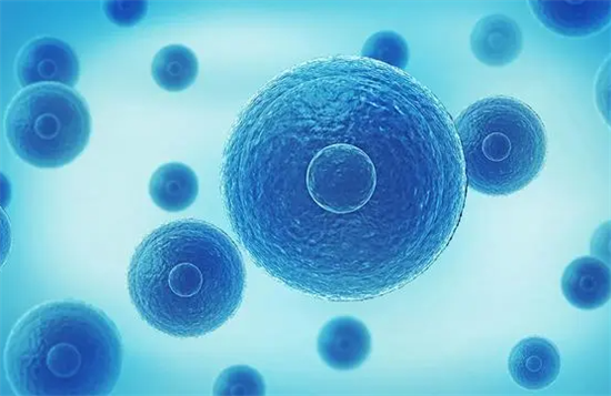 1700121328656904.png 1.png