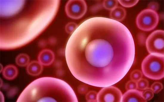 1700201376199211.png 14.png