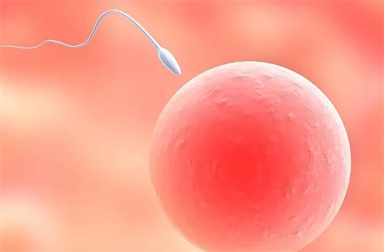 1700805610689711.png 13.png