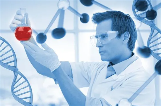 1701933480885802.png 65.png