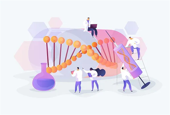 1701935116365862.png 41.png