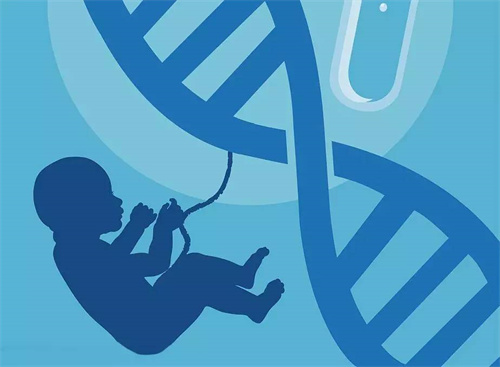 1702103121325052.jpg 孕138.jpg