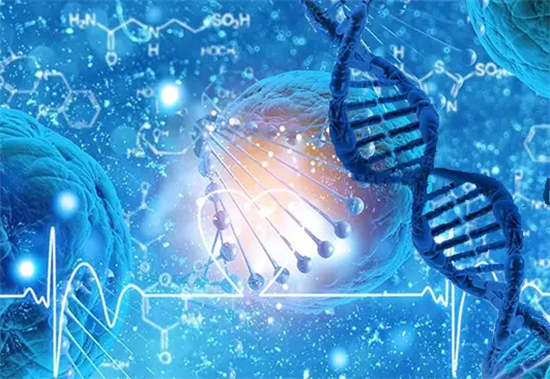 1702103156460589.png 25.png