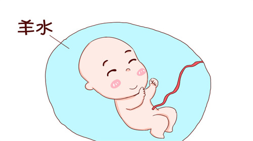 1702368636899823.jpg 孕05.jpg