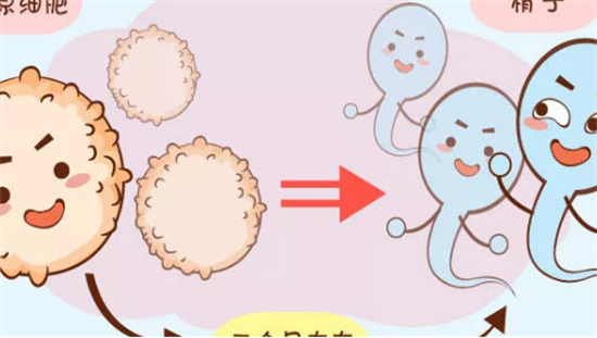 1702622419607308.png 51.png