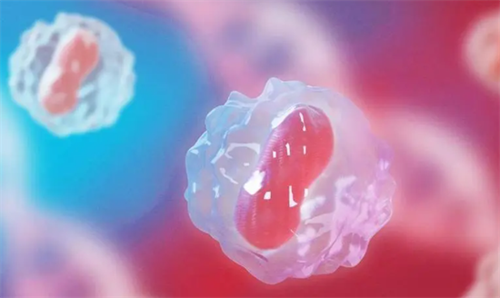 1702881051987802.png 73.png