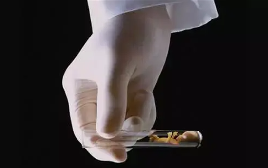 1702968501338535.png 55.png