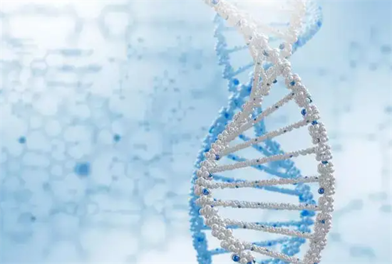 1703140490593400.png 139.png