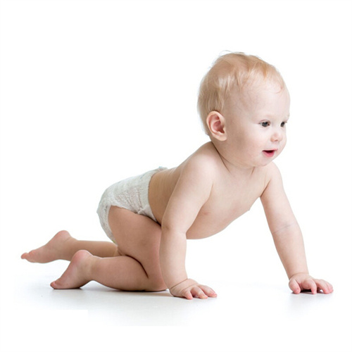 1703662437553233.jpg 宝宝24.jpg