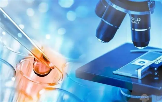 1703748425647465.png 32.png