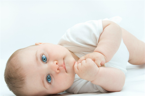 1703748860754313.png 宝宝70.png