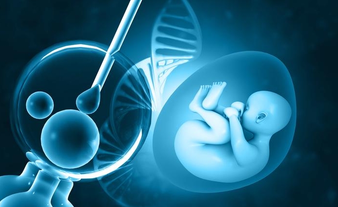 1717664681746096.jpg 2.jpg