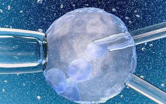 1717730982211571.jpg 56.jpg