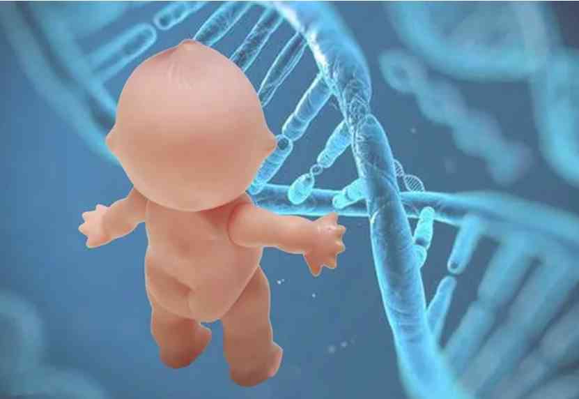 1718085607944979.png 5D2233934.png