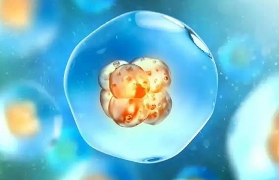 1718161127986861.png image.png