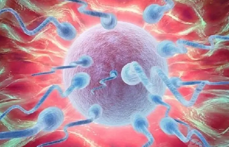 1718333524892548.jpg 20.jpg