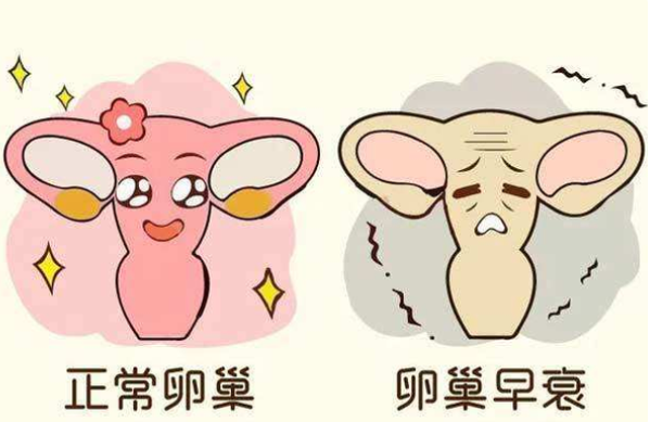 1718594542230274.png image.png