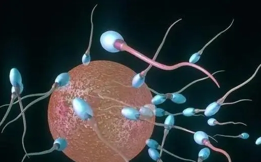 1718677918320687.jpg 55.jpg