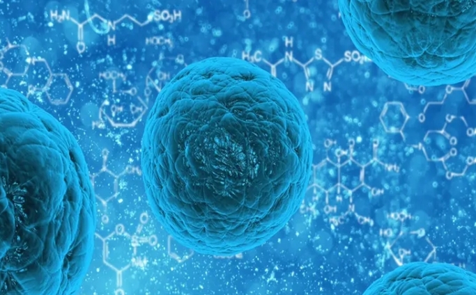 1718678000858673.jpg 38.jpg