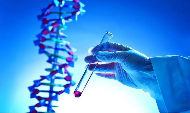 1718763351469445.jpg 31.jpg