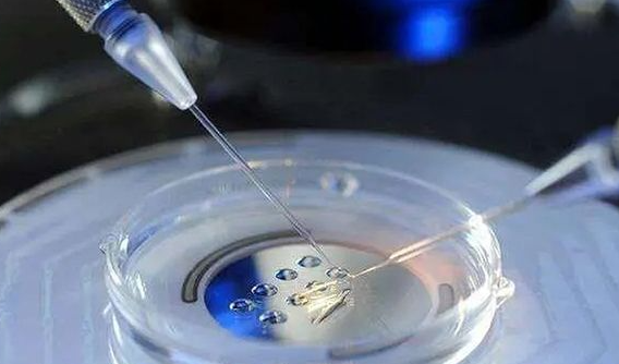 1718852395665210.png image.png