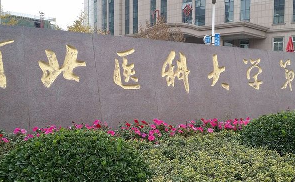 1718935981851885.png image.png