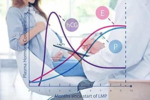 试管婴儿移植当天出血的原因！如何应对胚胎移植当天出血情况