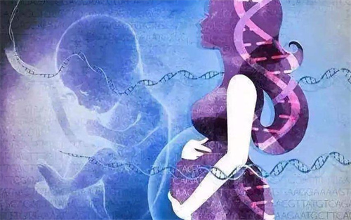 试管amh2以下适合什么促排方案？做试管婴儿amh不能低于多少