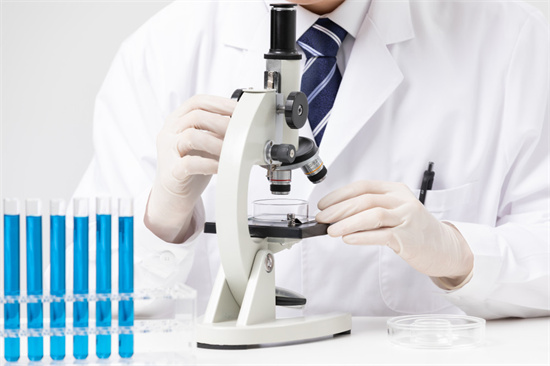 试管移植的成功率对比：冻胚和鲜胚移植哪个更有优势