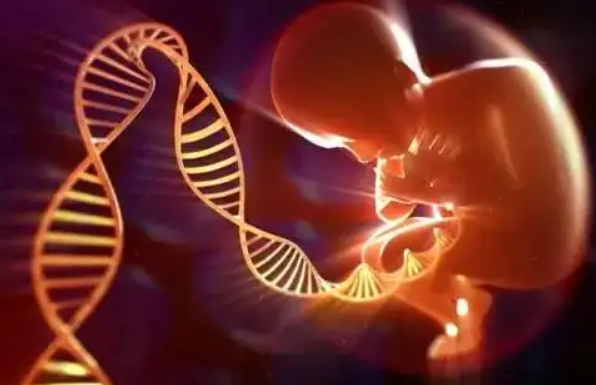 公布影响俄罗斯试管费用的因素！2025年去俄罗斯做试管婴儿一次多少钱