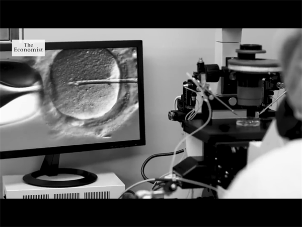 2025未婚赴柬埔寨怎么做试管婴儿？附未婚赴柬埔寨的注意事项