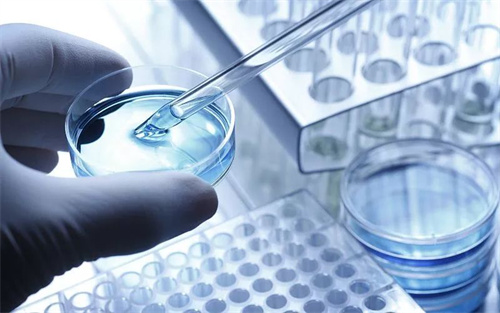 2025年试管胚胎冷冻费用是多少钱？胚胎冷冻一年收费多少