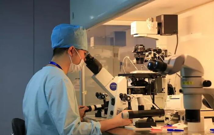 试管适合移植囊胚的人群有哪些？附囊胚移植的几大优势一览