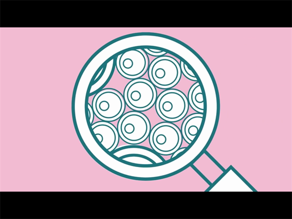 什么情况下做试管不能鲜胚移植？取消鲜胚移植后要怎么做